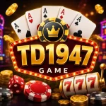 TD1947 Game