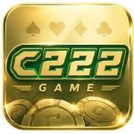 c222